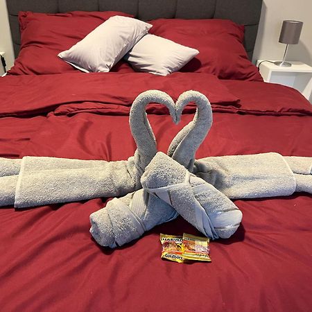 Studio Am Waldschloesschen Mit Kueche Und Netflix Dresden Dış mekan fotoğraf