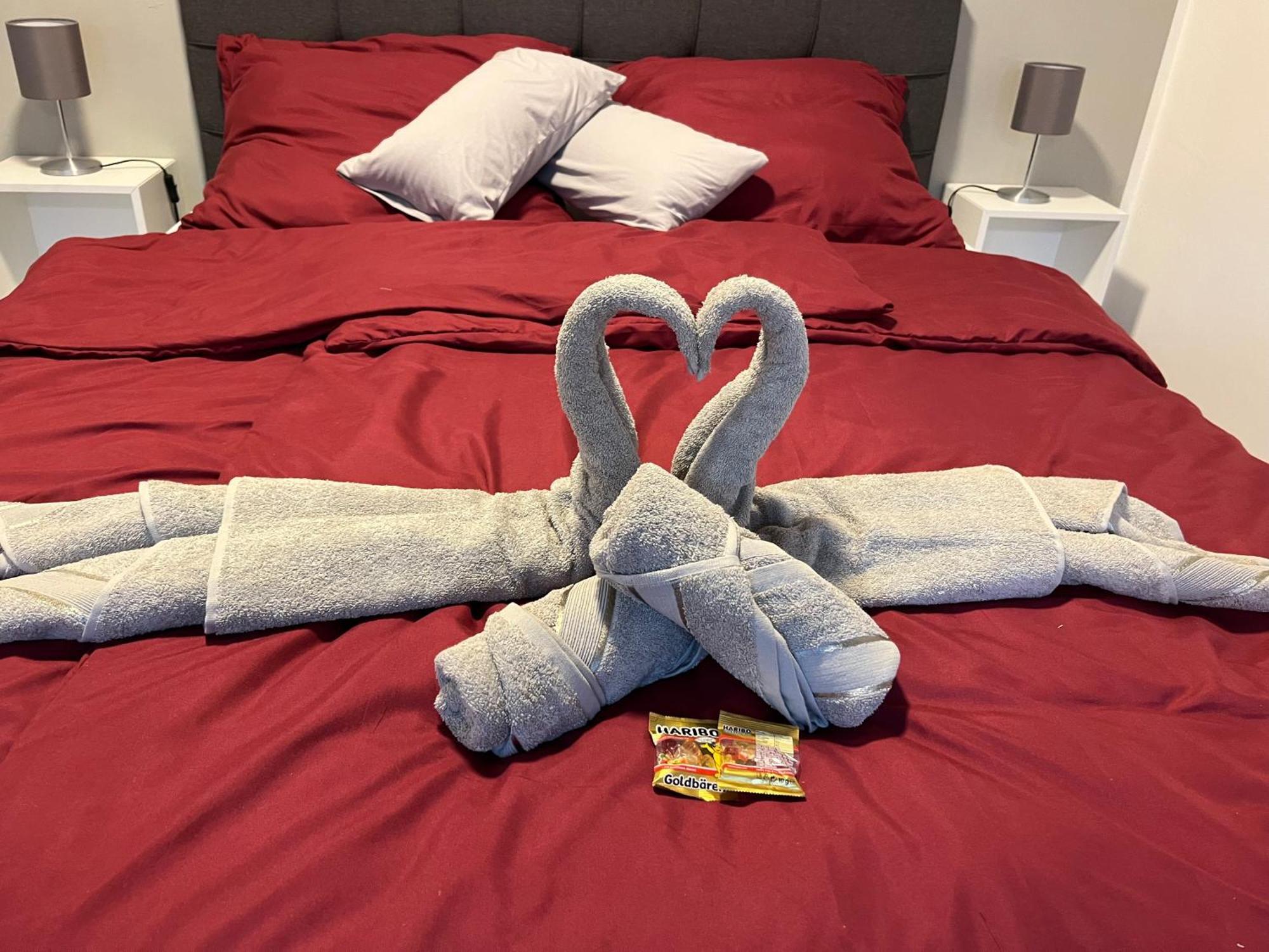 Studio Am Waldschloesschen Mit Kueche Und Netflix Dresden Dış mekan fotoğraf